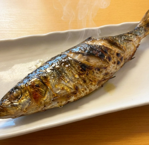 大トロにしん一本焼き