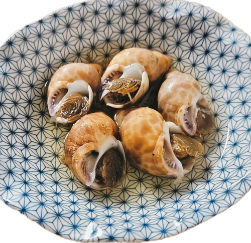 バイ貝のおでん