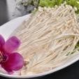 Enoki