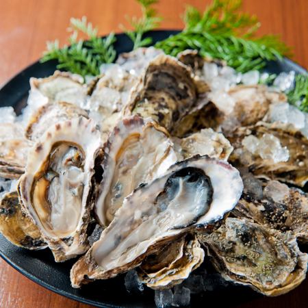 ☆牡蛎爱好者☆牡蛎套餐 6,500日元