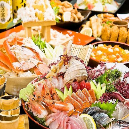[★For welcome and farewell party★] 8 kinds of sashimi! 5,000 yen a la carte course 11 dishes in total [5,500 yen course with 120 minutes all-you-can-drink ⇒ 5,000 yen