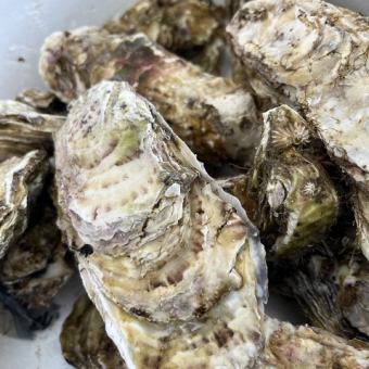 【人気NO.1】旬の鮮魚料理や季節のおばんざい、和牛ステーキ含むコース　全10品　6600円