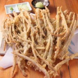 Goboten fan (1 piece)