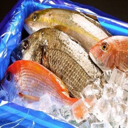 職人が毎日目利きして仕入れる鮮度バツグンの鮮魚をご用意！