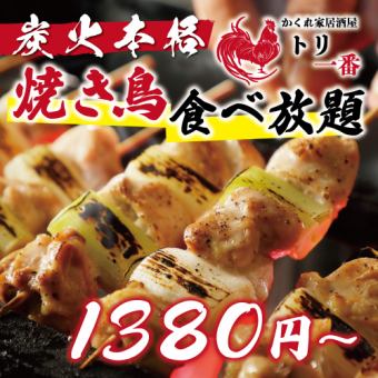 【性價比◎】2小時14道菜的簡單正宗烤雞肉串自助餐【不含稅1380日元/含稅1518日元】