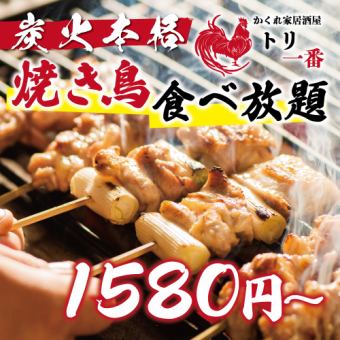 【性價比高】簡單正宗的烤雞肉串2小時自助餐（1,580日元（不含稅）/1,738日元（含稅））