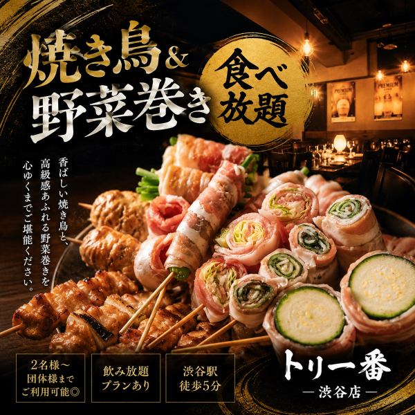 【SNS人気!】3時間飲み放題付き!焼き鳥&野菜巻き全40品食べ放題コース