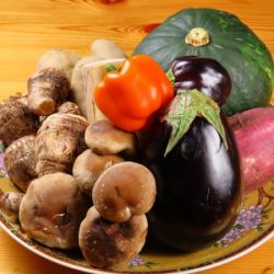 Fresh autumn vegetables