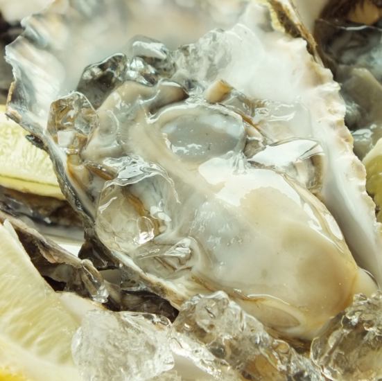 渔民直送的厚岸生牡蛎110日元（含税）！
