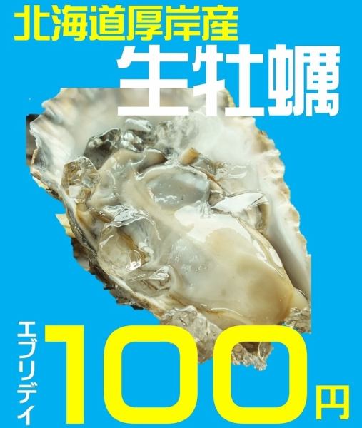 【赤字メニュー】漁師直送！北海道厚岸産の生牡蠣が毎日１００円！