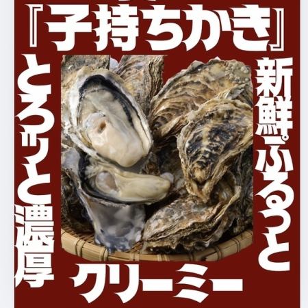 『子持ち牡蠣』は食べたことありますか？