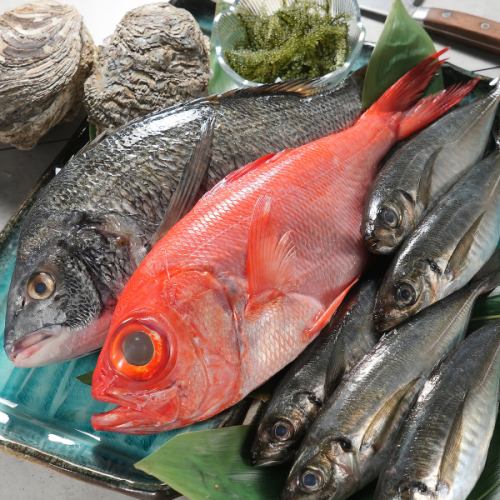 【季節の移ろい感じる、創作料理の数々】