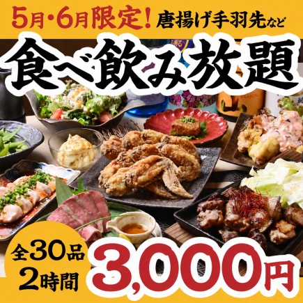 【食べ飲み放題】5・6限定！唐揚げ手羽先など含む全30品「エビス食べ飲み放題コース」3000円