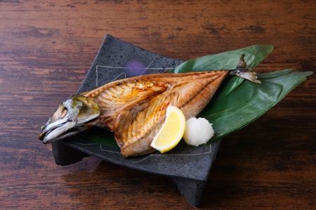 Extra large horse mackerel opening from Numazu