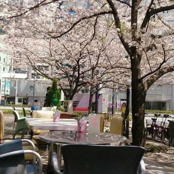 外で風を感じながら飲めるテラス席は開放感たっぷり！こだわりの料理をテラス席で美味しいお酒と…♪楽しく盛り上がるひと時を楽しんでください◎電話一本で場所取りの必要なく、ランチもディナーもご予約可能です。お気軽にお問い合わせください。