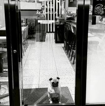 広々としたテーブル席は、ご友人やご家族、そして愛犬と一緒にゆっくりお食事を楽しめる人気のエリアです。落ち着いた空間で会話が弾む心地良さが魅力。お料理やドリンクを囲みながら、時間を忘れてくつろげるひとときをお過ごしください。