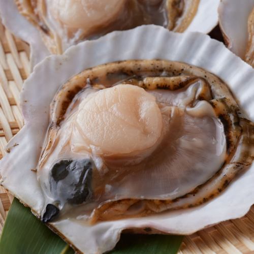 帆立