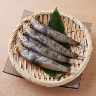 めひかり（４匹）【千葉県産】