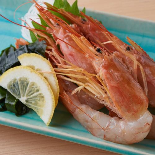 赤海老刺し（４尾）