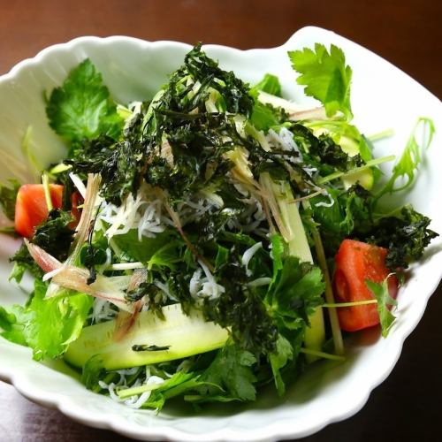 【コース一例】湘南しらすと香味野菜のサラダ