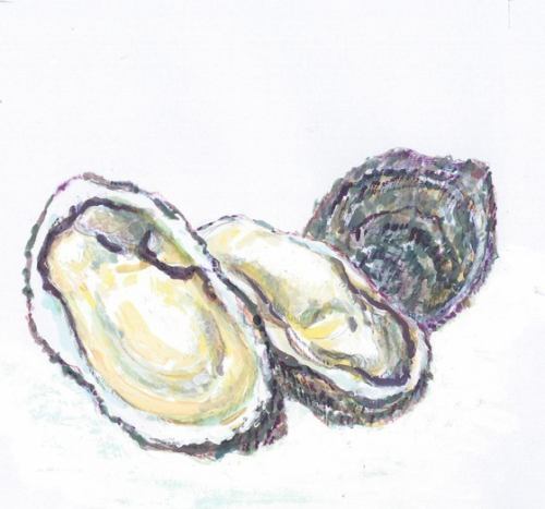 Iwaki oysters from Oki Islands, Shimane Prefecture