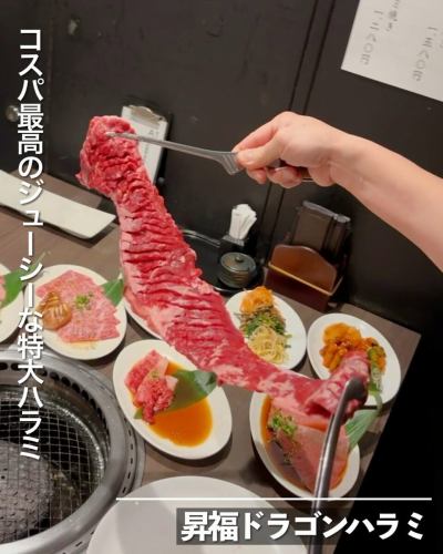 東京の焼肉酒家李苑、新宿名物を紹介！
新宿三丁目より徒歩1分！

▶︎▶︎▶︎オススメの三大名物はこれ！

昇福ドラゴンハラミ
腸まるごとロングホルモン
和牛大判リブロース

焼肉好きが集まる老舗の焼肉店！
店内はゆったり焼肉を食べれる落ち着いた雰囲気！

独自のルートで美味しいお肉を仕入れているのでコスパも良いのでぜひ食べに来てみてください！

💡 李苑は 席料・チャージ料なし！
お食事代だけで安心してお楽しみいただけます！

定期的にお得なキャンペーンも発信中！
ぜひフォローしてください！

——————————————

焼肉酒家　李苑
📍 東京都新宿区新宿5-18-16 shinjuku-fiveⅠ B1F
🚃新宿三丁目より徒歩1分
🕔営業時間
ランチ　11:00〜15:00（平日のみ）
ディナー 17:00〜23:00
🎌定休日:無し

💡 李苑は 席料・チャージ料なし！

📞 ご予約・お問い合わせはお気軽にどうぞ。

——————————————

#新宿グルメ
#焼肉屋
#東京グルメ
#コスパ焼肉
#個室焼肉