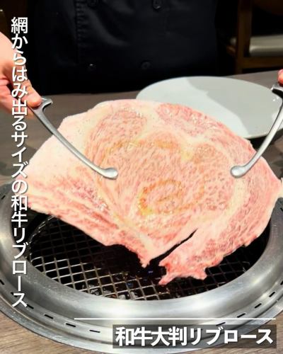 東京的烤肉店Rien!
從新宿3丁目步行1分鐘即可到達!
我們將介紹我們著名的烤肉!
以下是三個最推薦的特色專業!
菜單上有太多值得一試的菜餚了!
紹福龍裙牛排
全腸長激素
大份和牛肋排
如果你來新宿,一定要來這裡看看!
這裡有大量鮮嫩多汁的肉,肉食愛好者一定會喜歡!如果你吃烤肉,這道菜絕對不容錯過!
我們透過自己的管道採購美味的肉類,所以物有所值,一定要來嚐嚐!
💡 利苑餐廳不收取座位費或入場費!
您可以安心享用,只需支付餐費即可!
我們也常推出超值優惠!
請關注我們!
——————————————
烤肉坂屋理園
📍 東京都新宿區新宿 5-18-16 新宿 FiveⅠ B1F
🚃從新宿三丁目步行1分鐘即可到達。
🕔營業時間
午餐時間:11:00-15:00(僅限工作日)
晚餐 17:00-23:00
🎌已關閉:無
💡 利苑餐廳不收取座位費或入場費!
📞歡迎隨時預約或諮詢。
——————————————
#新宿美食
#烤肉餐廳
#東京美食
#經濟實惠的烤肉
#私人私人烤肉