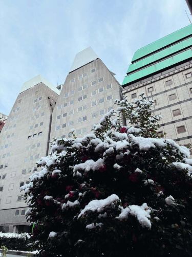 신주쿠의 거리에도 눈의 방문이!
장력이 올거야!

추운 날씨에 방문 할 수있는 고객에게 감사드립니다!
조심하십시오!

#신주쿠 음식 #신주쿠 야키니쿠 #이원