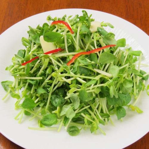 vegetable salad