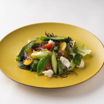 緑黄色野菜とモッツァレラチーズのサラダ
