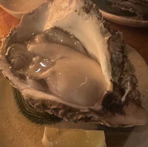 师傅亲自精心挑选的菜肴很受欢迎