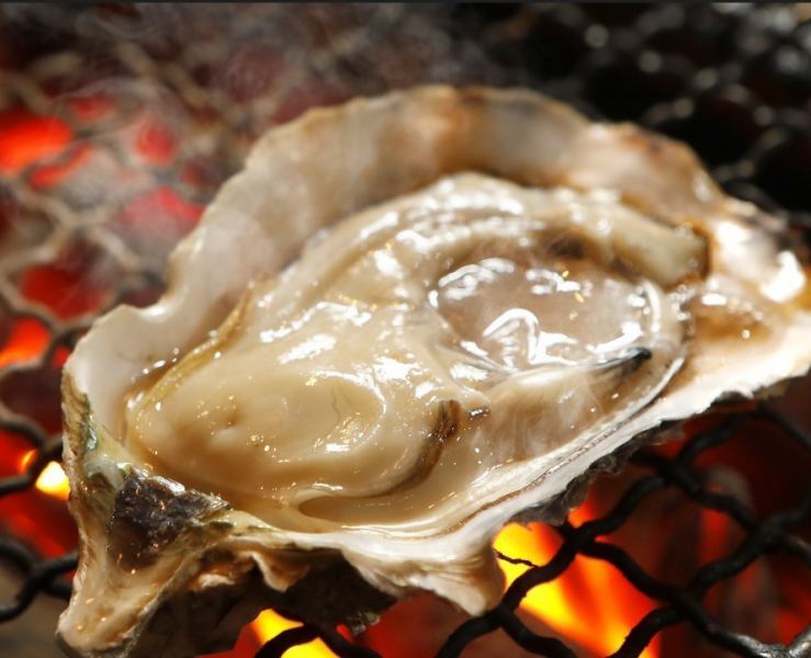 極上！マスター目利きの厳選生ガキ