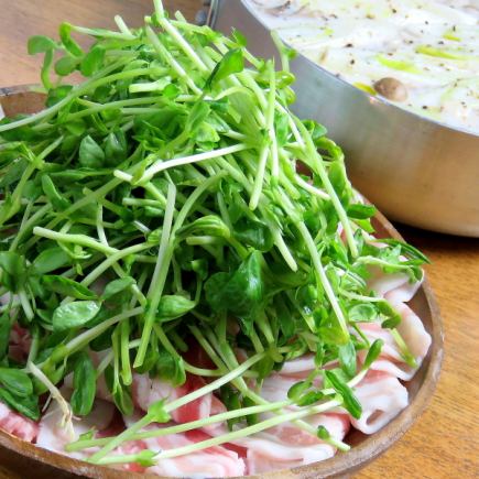 【기간 한정!파 파 샤브샤브 포르치니 크림 냄비】전 10품+120분