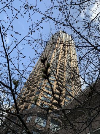 👳‍♂️皆さまナマス