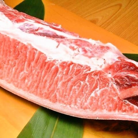 Genuine tuna from Tsukiji
