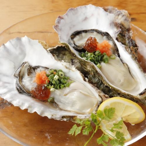 Raw oysters in the shell or grilled oysters