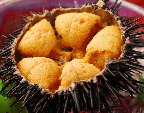 Sea urchin [Summer only]