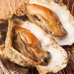 Raw oysters/Straw grilled