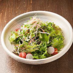 Akto's choice of salad (Japanese style, Caesar, sesame)