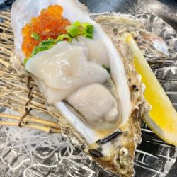 1 raw gout oyster