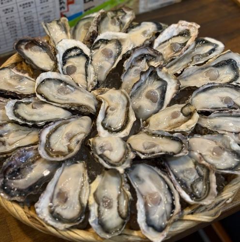 食べ放題&飲み放題コース