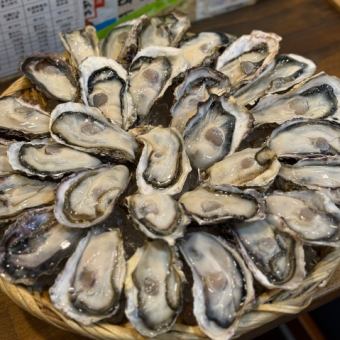 生牡蠣、焼き蒸し牡蠣、カキフライ食べ放題&飲み放題付き！