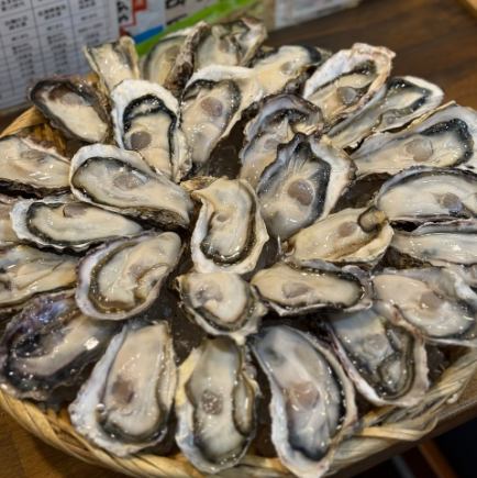 生牡蠣、焼き蒸し牡蠣、カキフライ食べ放題&飲み放題付き！