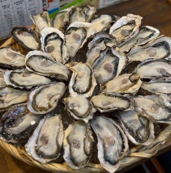 ≪ご宴会必見≫ボリューム満点♪お得なコース