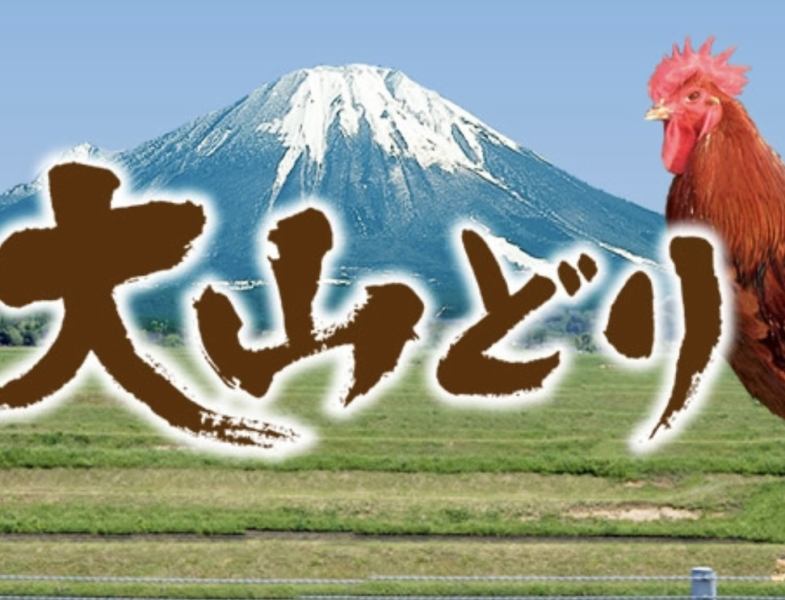 文鳥で扱う大山鳥は、鳥取から毎朝届いた丸鶏を捌いているので新鮮そのもの。最高級備長炭で仕上げる焼鳥を堪能した後、テレビで度々紹介される究極の親子丼をお楽しみください。