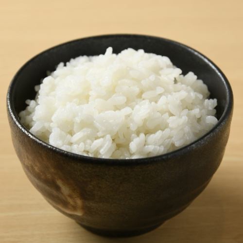 白ごはん