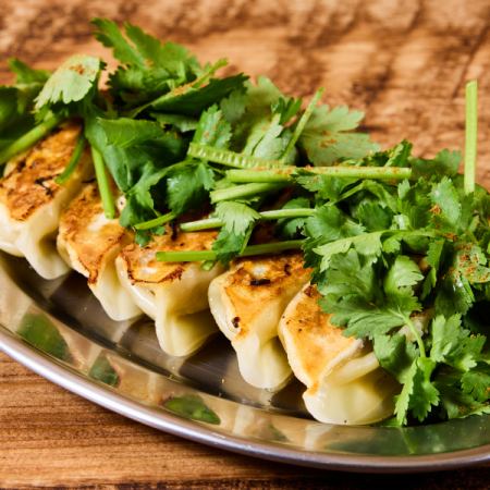 もりもりパクチー餃子