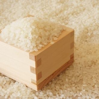 焼肉×ご飯=鉄板で旨い飯!!シンプルイズベスト!