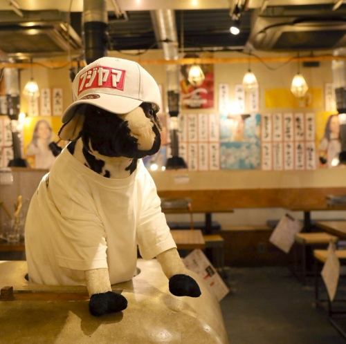 黒毛和牛に希少なホルモンをご用意&清潔な空間