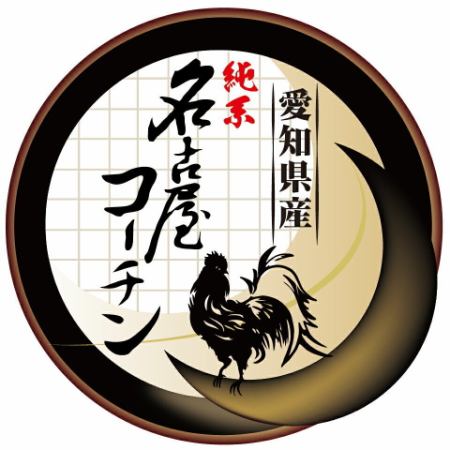名古屋名物!【純系名古屋コーチン】